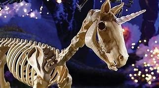 Content image for unicorn skeleton decoration