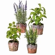 Content image for artificial herbs for decorating